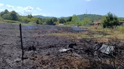 Yalova’da iki noktada çıkan orman yangınları ile ilgili savcılık soruşturma başlattı