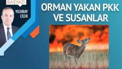 Orman yakan PKK ve susanlar