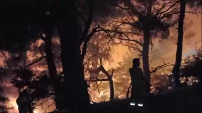 AFAD duyurdu: Türkiye'de ilk 6 ayda 1418 orman yangını çıktı!