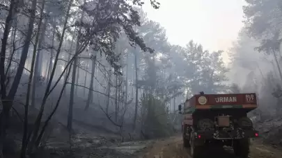 Muğla'daki orman yangınları kontrol altında