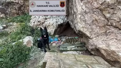 Hakkari'de sığınakta mühimmat ele geçirildi