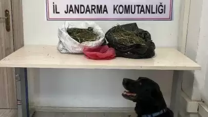 Iğdır'da 22,5 kilogram kubar esrar ele geçirildi