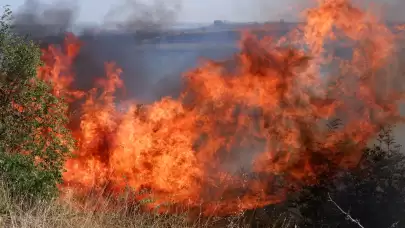 Alevler göğe yükseldi! 4 köy yangından etkilendi