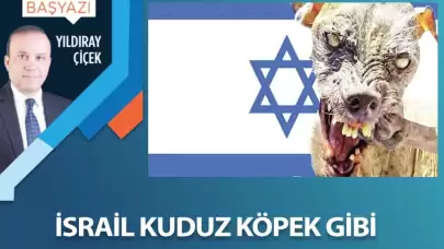 İsrail kuduz köpek gibi