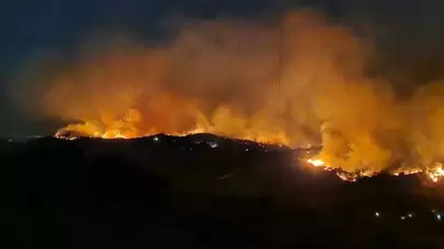 Çanakkale'deki yangın kontrol altında