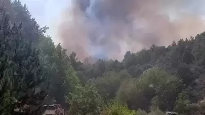 Afyonkarahisar'da orman yangını! Ekipler müdahale ediyor