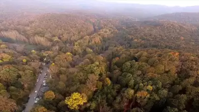 Orman sınırları içindeki izinsiz yapılara el koyma yetkisi geliyor