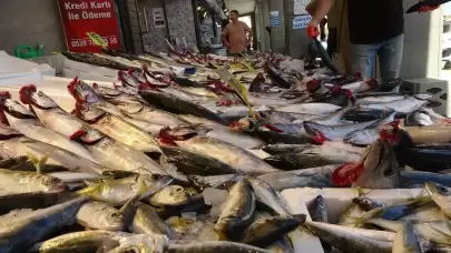 Av yasağı kalktı, tezgahlarda palamut bereketi yaşandı