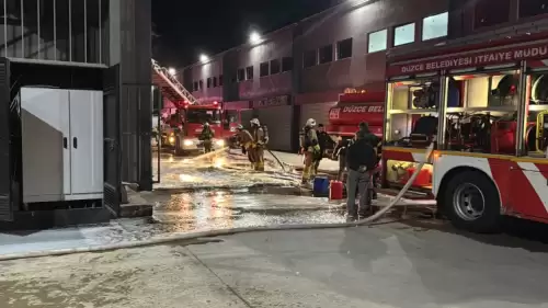 Düzce'de fabrikada korkutan yangın