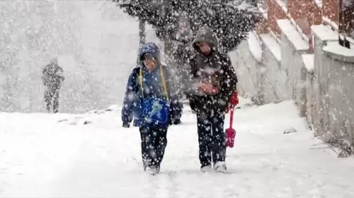 Artvin'in Ardanuç ve Yusufeli ilçelerinde eğitime 1 gün ara