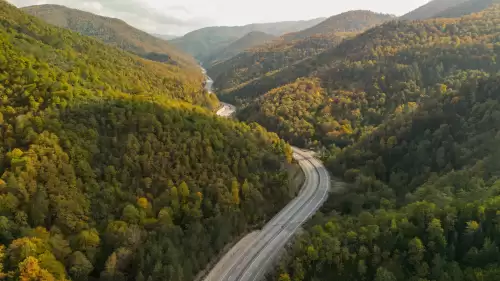 Zonguldak'ta sonbaharın büyüleyici renkleri ormanları süsledi!