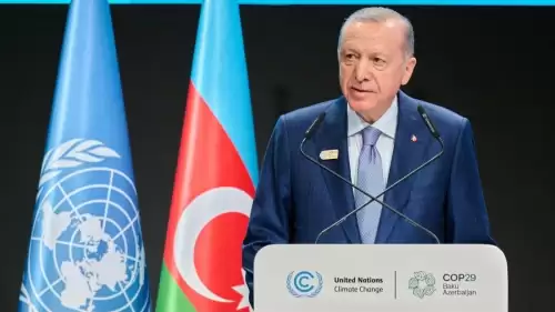 Türkiye, COP29 Zirvesi'ne yüksek düzeyde katılım gösterdi.