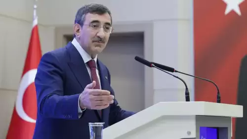 Cumhurbaşkanı Yardımcısı Yılmaz'dan net mesaj: Suriye, Suriyelilerindir