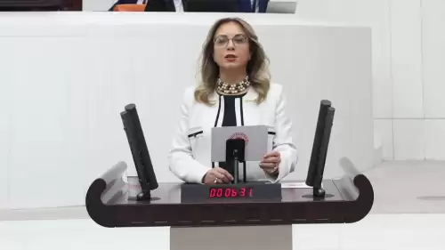 MHP'li Filiz Kılıç: "Ordumuza laf söyletmeyiz"