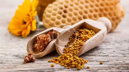 Propolis nedir? Propolis ne işe yarar?