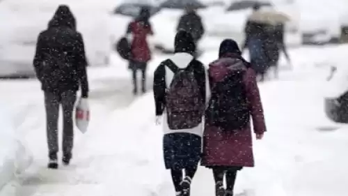 Artvin’de iki ilçede eğitime ara verildi