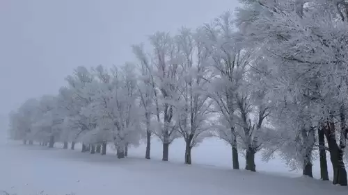 5 il için kuvvetli kar uyarısı