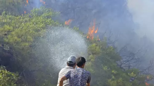 Antalya'daki orman yangınına 3 saattir müdahale sürüyor