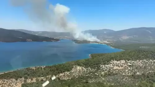 Milas’ta orman yangını