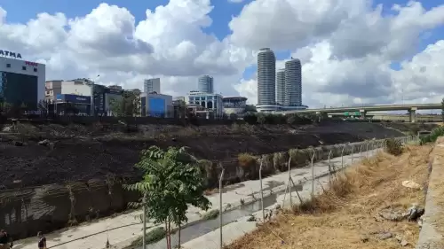 Akıl almaz olay! Yol kenarındaki otları yakıp kaçtılar!