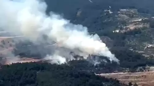 Manisa'da orman yangını! Ekiplerin müdahalesi sürüyor