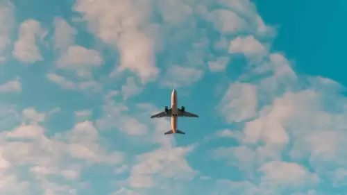 Yolcunun yemeğinden çıkan fare havada paniğe neden oldu