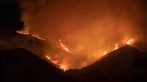 Alevlerle mücadele devam ediyor! 100 bin dönümden fazla alan kül oldu