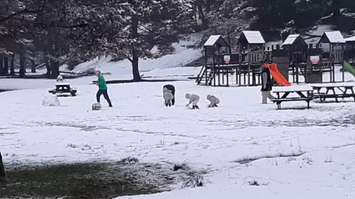 Abant Gölü Milli Parkı beyaza büründü: Kar kalınlığı 10 santimetreyi aştı