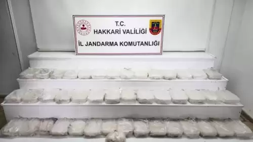 Hakkari'de bir araçta 49 kg sentetik uyuşturucu bulundu