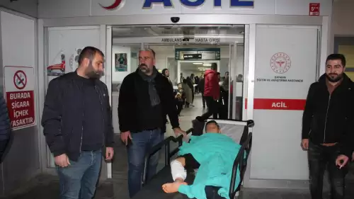 Ailesiyle pikniğe giden çocuk dehşeti yaşadı