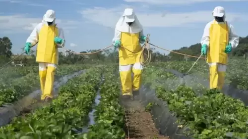 Son günlerin en çok konuşulan konular arasında! Pestisit nedir? Pestisitin zararları nelerdir?