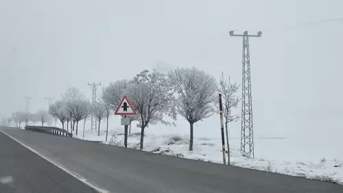 Bitlis’te dondurucu soğuk etkili oluyor: Ağaçlar kırağıyla kaplandı