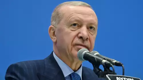 Cumhurbaşkanı Erdoğan’dan 10 Ocak Çalışan Gazeteciler Günü mesajı