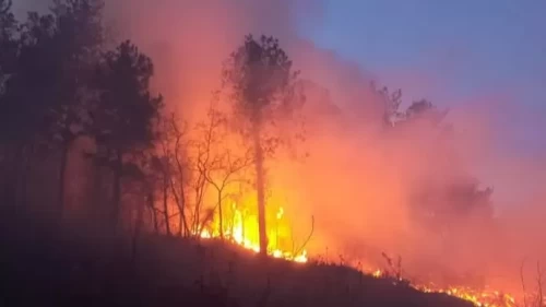 Hatay'daki orman yangını ekiplerin müdahalesiyle kontrol altına alındı