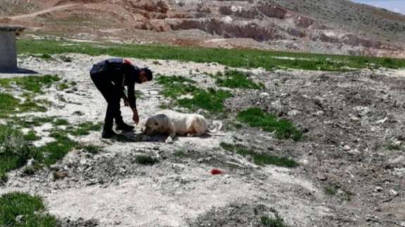 Jandarma'dan alkışlanacak hareket