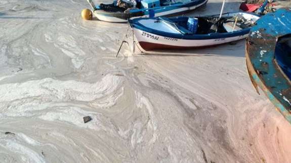 Raporda ortaya çıktı! İşte deniz salyasının nedeni