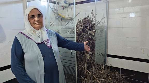 2 yıldır boş olan eve giren kadın şoke oldu! 'Hayatımda böyle bir şey görmedim'