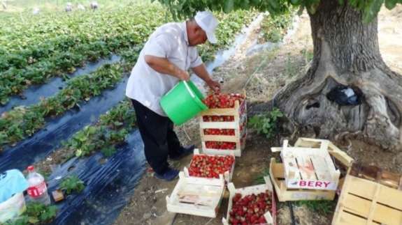 Marketten çıktı şimdi paraya para demiyor