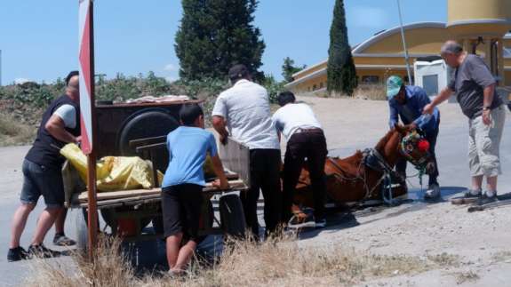 40 derecelik havada yük taşıyan at yere yığıldı! Vatandaşlar hemen yardıma koştu