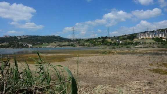 Kocaeli'deki Gölkay Park'ta korkutan görüntü