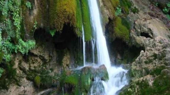 Müthiş haber! Hatay'da bulundu