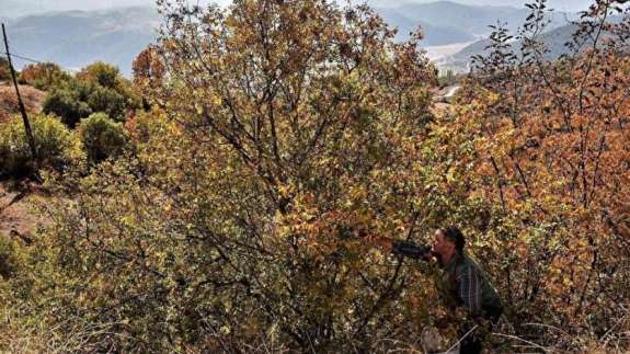 Tesadüfen fark edildi! Kendi kendine yetişiyor: Herkes para kazanmak için oraya gidiyor...