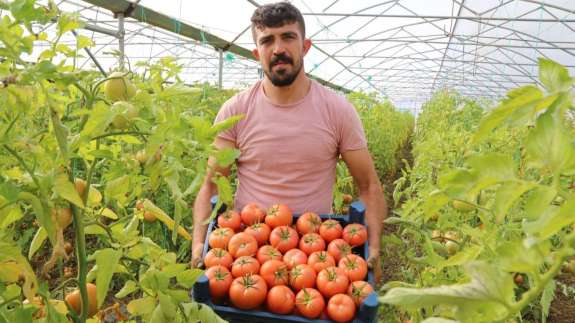 Şehirden köyüne döndü, şimdi ihracata hazırlanıyor