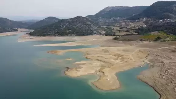 Adana'da depremin ardından şimdi de başka bir endişe! "Büyük sıkıntı yaşıyoruz"