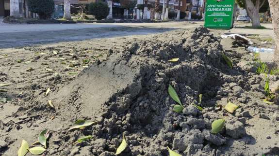 Deprem sonrası şaşırtan görüntü! Deniz kumu sanıldı, gerçek bambaşka çıktı 