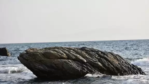 Dünyanın en ücra yerlerinden Gough Adası’nda çalışacak biri aranıyor