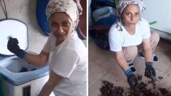 İştahla yediğimiz midyeler ne kadar temiz? Yayınlanan bir video sizi hayal kırıklığına uğratacak