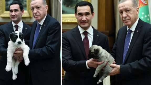 Cumhurbaşkanı Erdoğan ve Berdimuhamedov birbirlerine köpek hediye etti