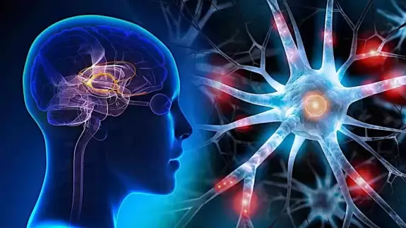 Mutluluktan uçuran besinler! Serotonin tetikleniyor, stres kayboluyor