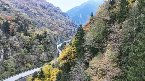 Sonbaharın renkleri Trabzon'u süsledi